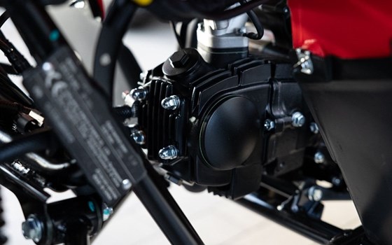 Neufahrzeug CFMOTO CForce 110 - Bild 15