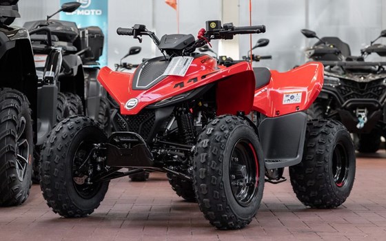 Neufahrzeug CFMOTO CForce 110 - Bild 3