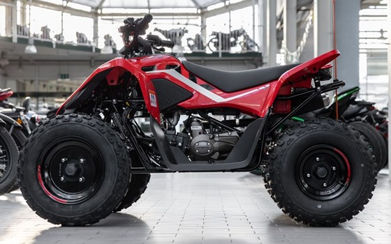 Neufahrzeug CFMOTO CForce 110 - Bild 4