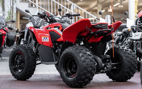 Neufahrzeug CFMOTO CForce 110 - Bild 5