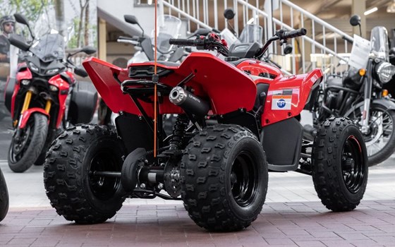 Neufahrzeug CFMOTO CForce 110 - Bild 6