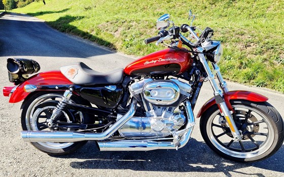 Gebrauchtmotorrad Harley-Davidson Sportster XL 883 L SuperLow - Bild 1