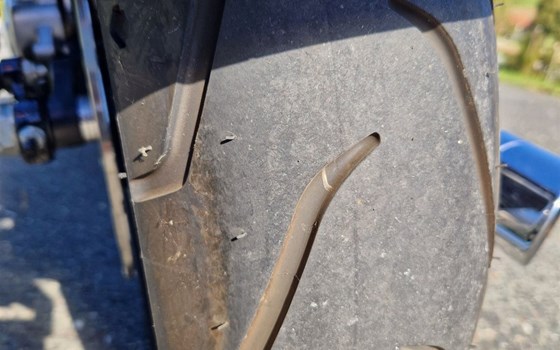 Gebrauchtmotorrad Harley-Davidson Sportster XL 883 L SuperLow - Bild 11