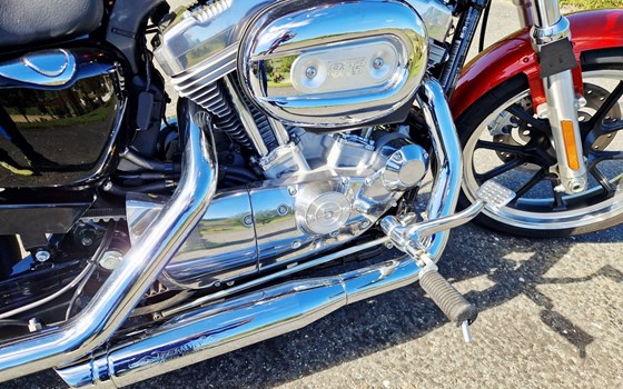 Gebrauchtmotorrad Harley-Davidson Sportster XL 883 L SuperLow - Bild 13