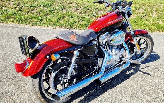 Gebrauchtmotorrad Harley-Davidson Sportster XL 883 L SuperLow - Bild 2