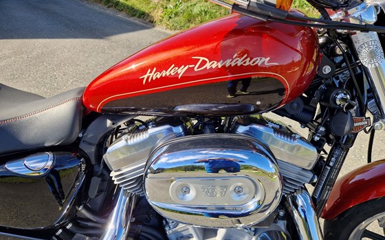 Gebrauchtmotorrad Harley-Davidson Sportster XL 883 L SuperLow - Bild 6