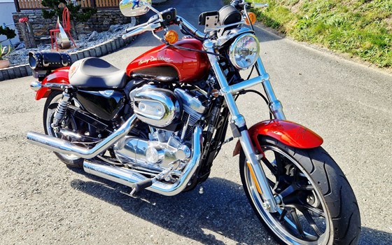 Gebrauchtmotorrad Harley-Davidson Sportster XL 883 L SuperLow - Bild 7