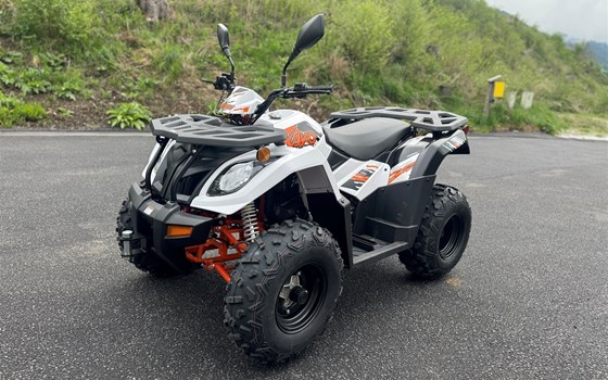 Neufahrzeug Kayo A 300 - Bild 14