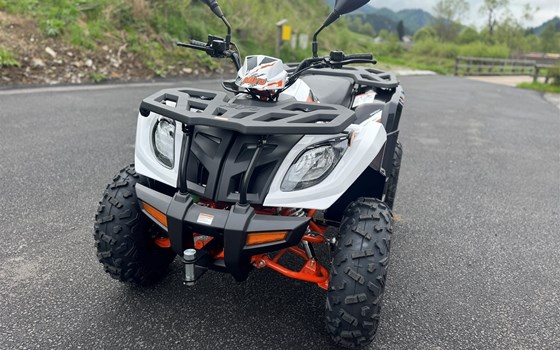 Neufahrzeug Kayo A 300 - Bild 16