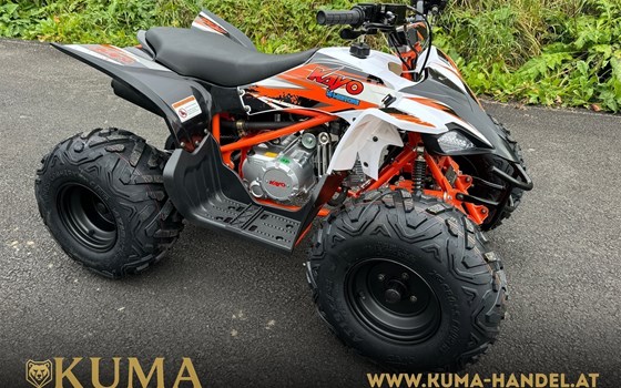 Neufahrzeug Kayo AT 125 - Bild 1