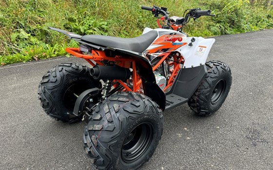 Neufahrzeug Kayo AT 125 - Bild 5