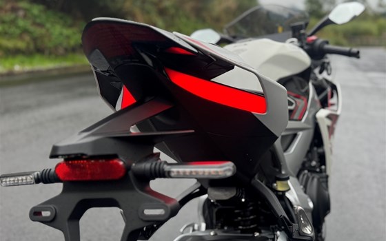 Neufahrzeug Zontes 703-RR - Bild 12