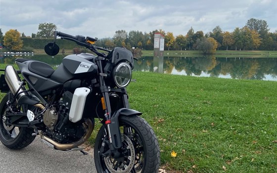 Gebrauchtmotorrad Husqvarna Svartpilen 801 - Bild 2