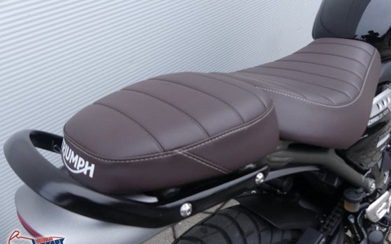 Gebrauchtmotorrad Triumph Scrambler 400 X - Bild 5