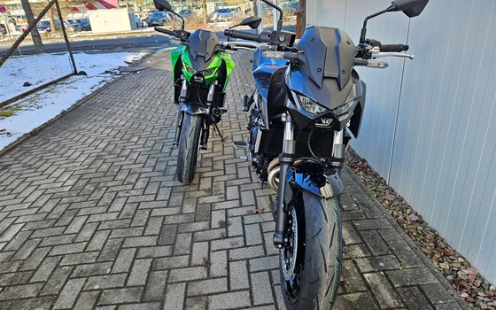 Neufahrzeug Kawasaki Z650 S - Bild 2