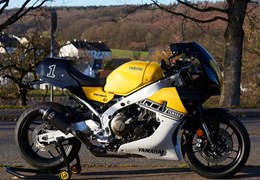 Neumotorrad Yamaha XSR900 GP