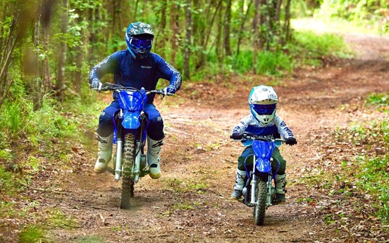 Neufahrzeug Yamaha TT-R50E - Bild 6