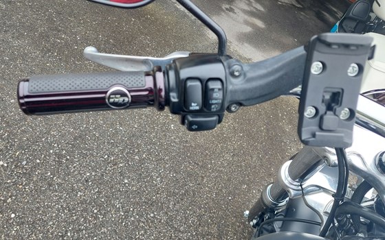 Gebrauchtmotorrad Harley-Davidson Dyna Fat Bob FXDF - Bild 5