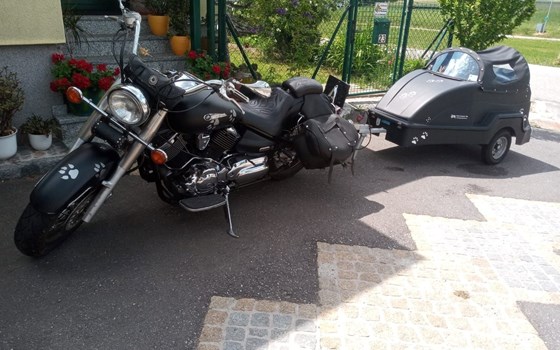 Gebrauchtmotorrad Yamaha XVS 1100 Drag Star - Bild 3