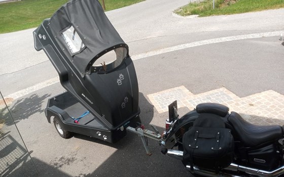 Gebrauchtmotorrad Yamaha XVS 1100 Drag Star - Bild 4