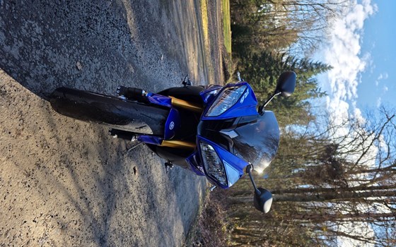 Gebrauchtmotorrad Yamaha YZF-R6 - Bild 4