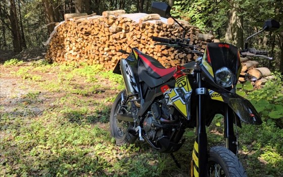 Gebrauchtmotorrad Aprilia SX 125 - Bild 4