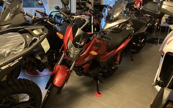 Neufahrzeug Honda CBF 125 - Bild 1