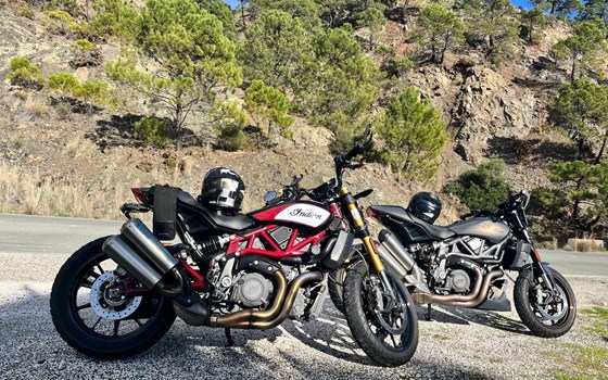 Gebrauchtmotorrad Indian FTR 1200 SR - Bild 5