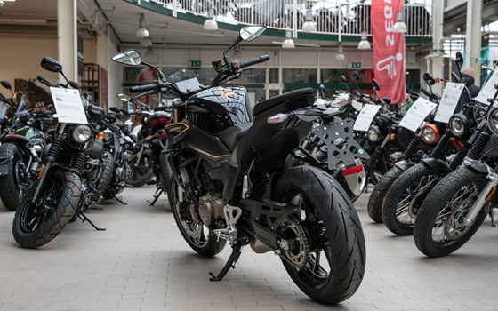 Neufahrzeug QJ Motor SRK 600 PRO - Bild 2