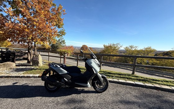 Gebrauchtmotorrad Yamaha XMAX 300 Tech MAX+ - Bild 2