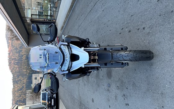 Neufahrzeug Triumph Tiger 1200 GT PRO - Bild 3