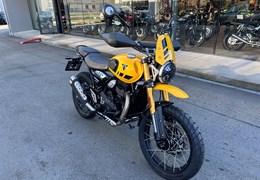 Neumotorrad Triumph Scrambler 400 XC