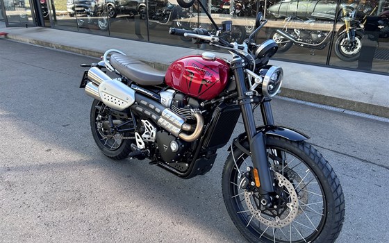 Neufahrzeug Triumph Scrambler 1200 X - Bild 1
