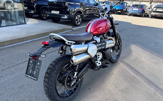 Neufahrzeug Triumph Scrambler 1200 X - Bild 4
