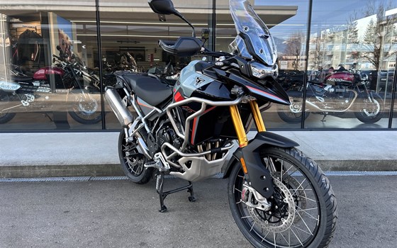 Neufahrzeug Triumph Tiger 900 Desert Edition - Bild 1