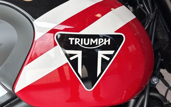Neufahrzeug Triumph Trident 660 - Bild 4