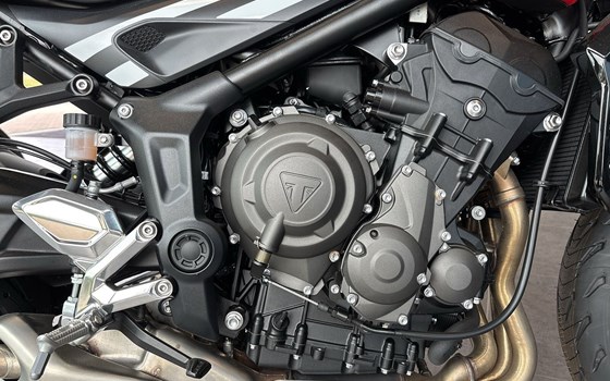 Neufahrzeug Triumph Trident 660 - Bild 6