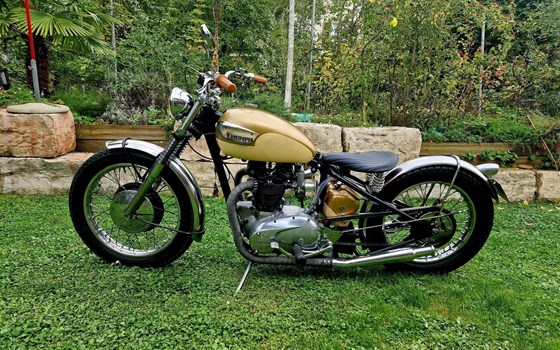Motorrad Occasion Triumph TR6 - Bild 1