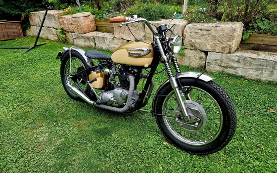 Motorrad Occasion Triumph TR6 - Bild 4