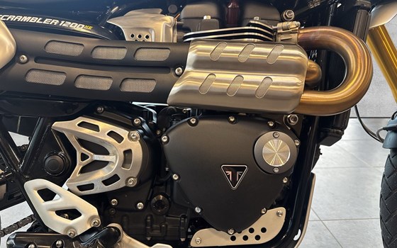 Gebrauchtmotorrad Triumph Scrambler 1200 XE - Bild 5