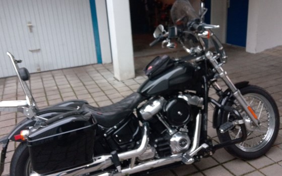 Gebrauchtmotorrad Harley-Davidson Softail Standard FXST - Bild 2