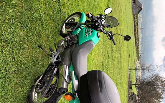 Gebrauchtmotorrad Honda SLR650 - Bild 2