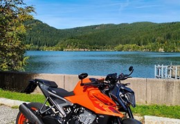 Gebrauchte KTM 990 Duke