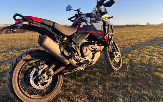 Gebrauchtmotorrad Ducati DesertX - Bild 4