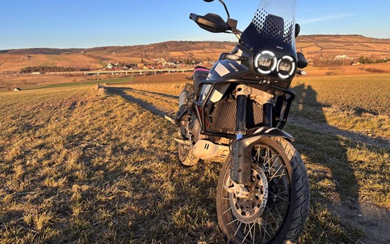 Gebrauchtmotorrad Ducati DesertX - Bild 2