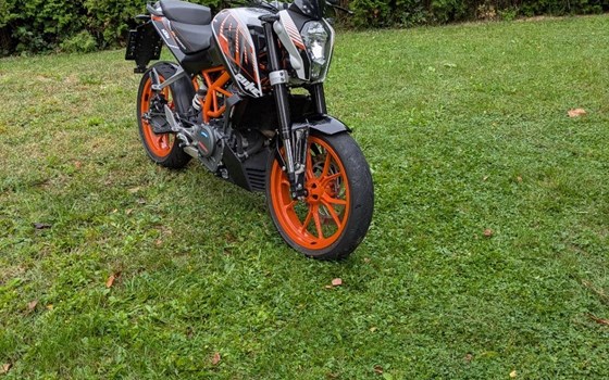 Gebrauchtmotorrad KTM 390 Duke - Bild 1