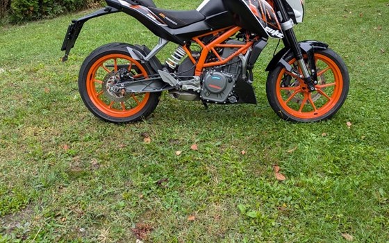 Gebrauchtmotorrad KTM 390 Duke - Bild 4