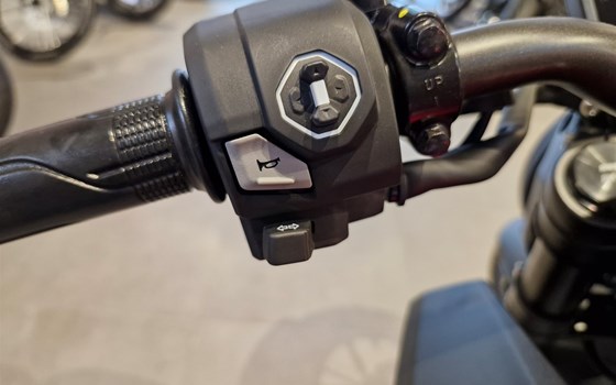 Neufahrzeug Honda CB125R - Bild 12