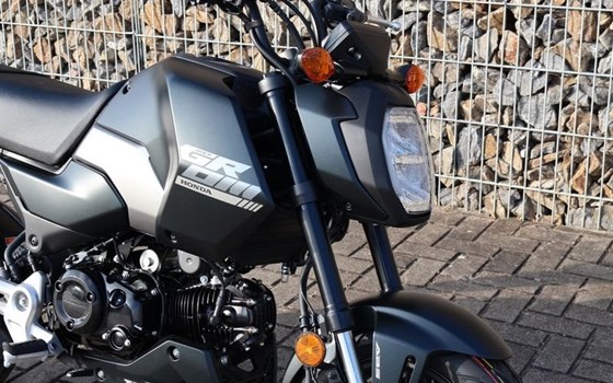 Gebrauchtmotorrad Honda MSX 125 - Bild 11