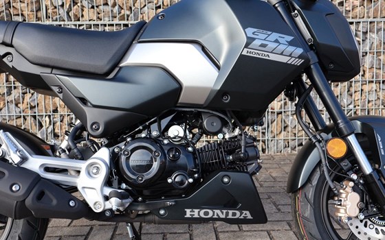 Gebrauchtmotorrad Honda MSX 125 - Bild 12